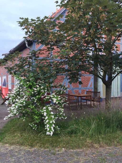 Entspannung In Der Schoenen Lueneburger Heide Gohrde Buitenkant foto