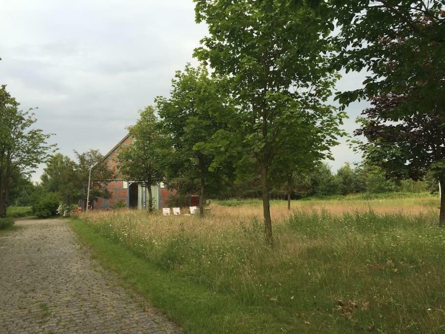 Entspannung In Der Schoenen Lueneburger Heide Gohrde Buitenkant foto
