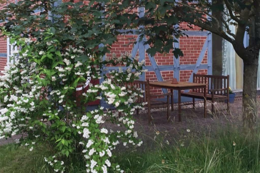 Entspannung In Der Schoenen Lueneburger Heide Gohrde Buitenkant foto